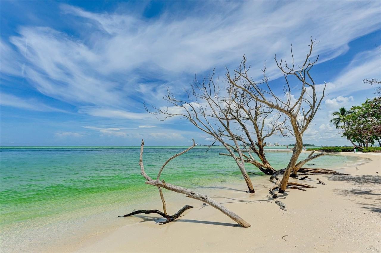 11 Sandy Cove Rd #8F - Photo 4 of 50