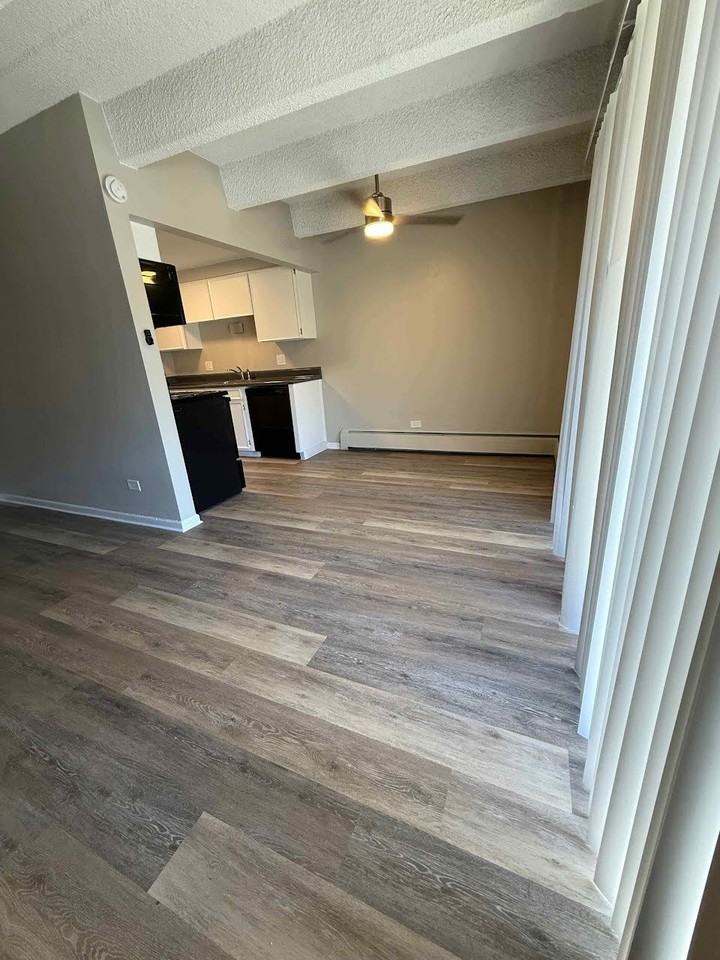 1107 Carr Street - Photo 4 of 16