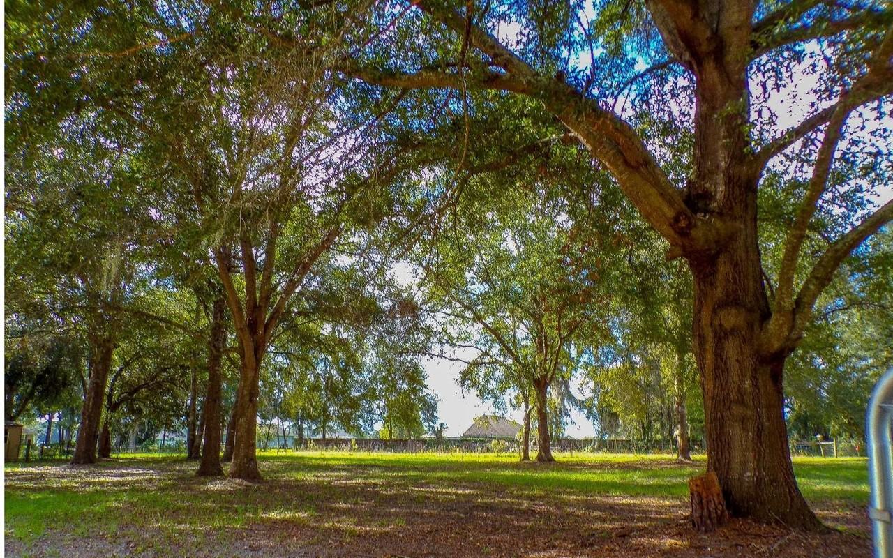 258 Se Cheddar Ct - Photo 2 of 8