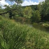 2660 Fm 3237 - Photo 1 of 1