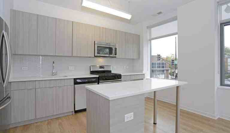 558 West Webster Avenue - Photo 5 of 20