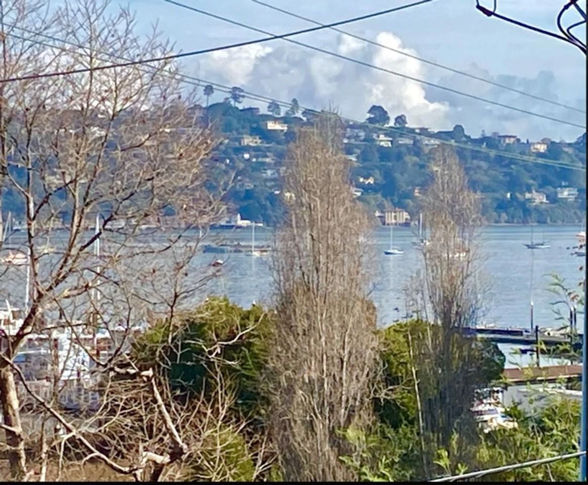 1739 Bridgeway #1 - Photo 7 of 13