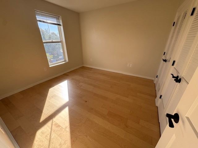 1301 Blue Hill Ave #403 - Photo 5 of 13