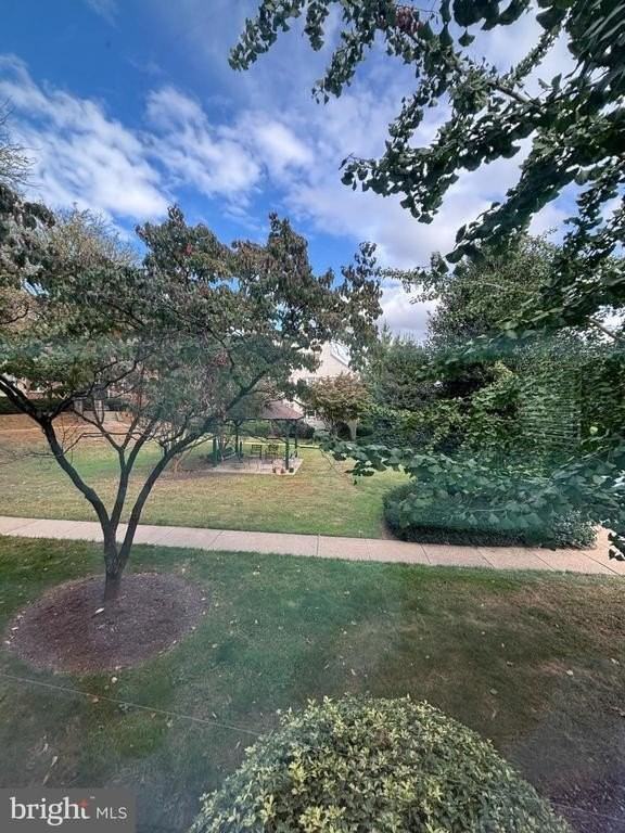 2213 Washington Ave #103 - Photo 4 of 21