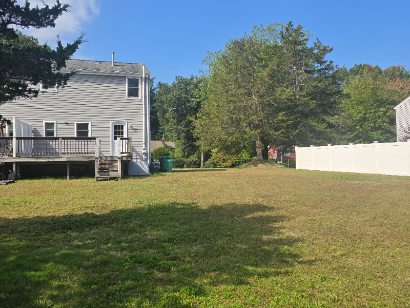 278 Ware Street - Photo 6 of 9