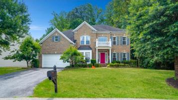 featured image of Diploma Dr