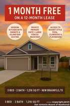 2623 Pechora Pipit - Photo 1 of 1