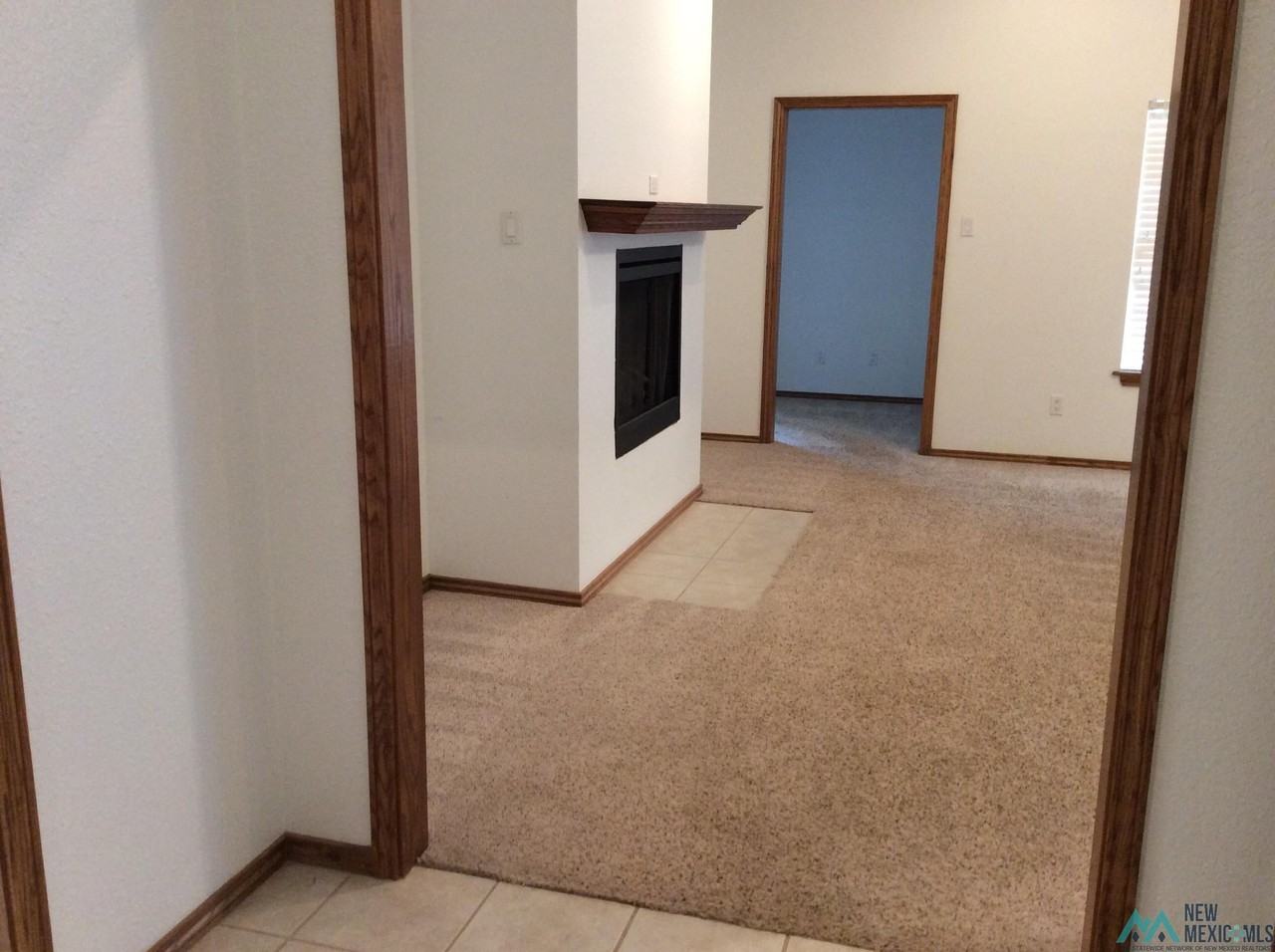 1705 Tiffani Ln - Photo 3 of 19