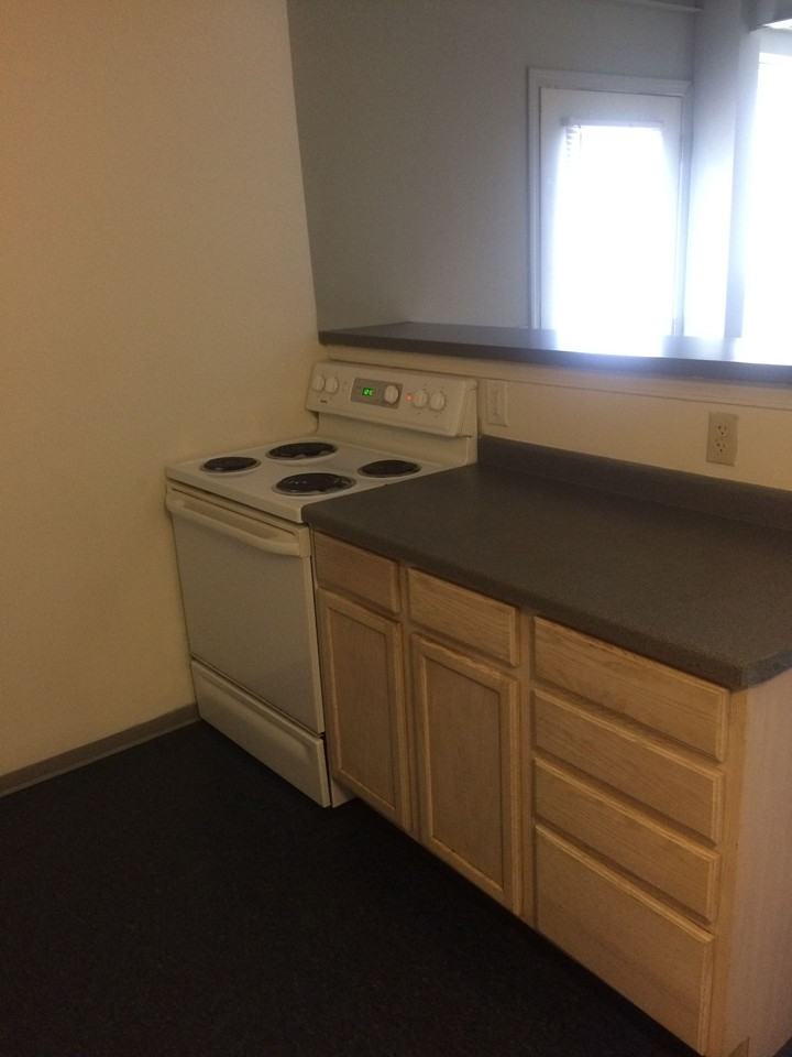 1317 Spring St - Photo 4 of 15