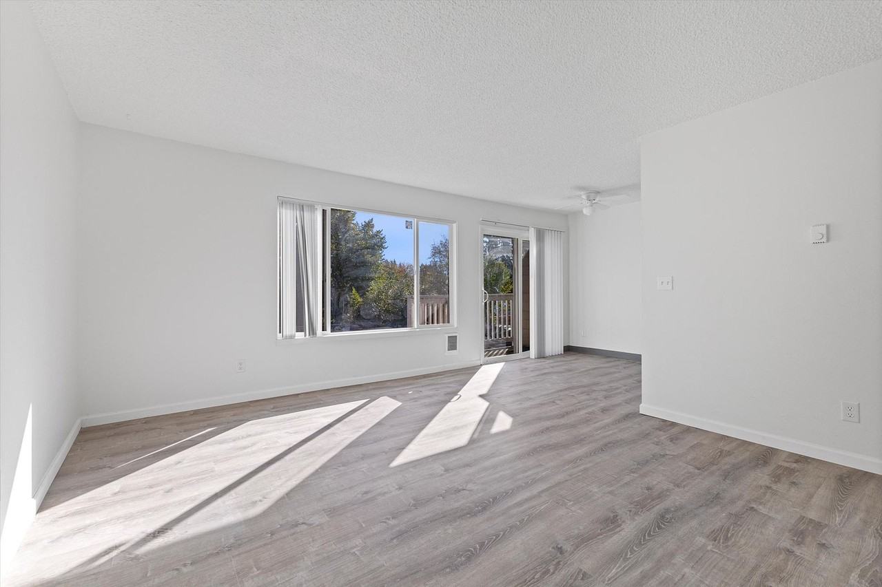 Eastwood - Photo 2 of 7