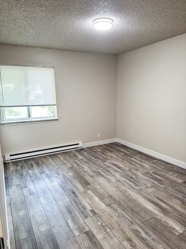 The Pines - Photo 7 of 12