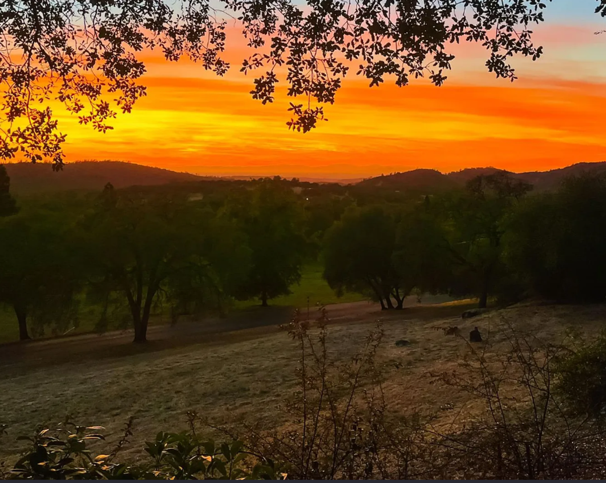 6175 Viewridge Dr - Photo 3 of 30