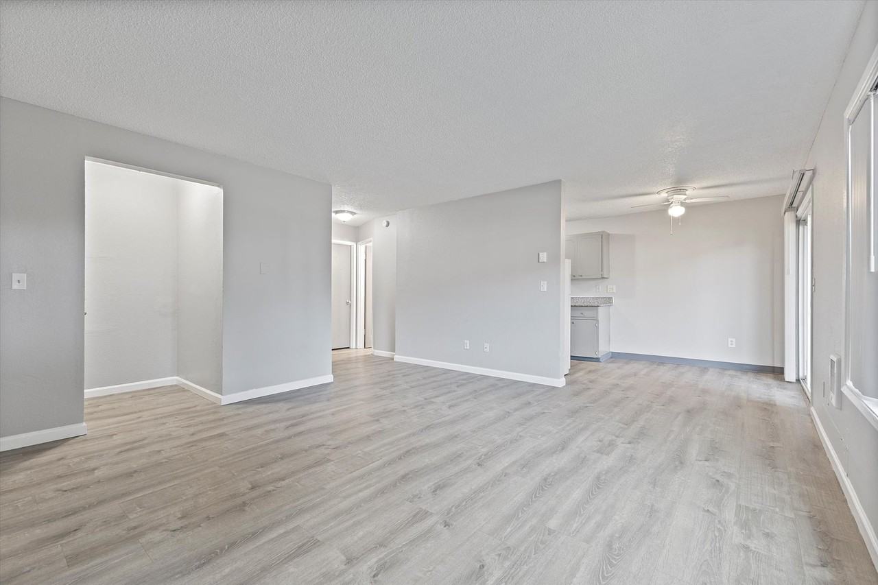 Meadowlark - Photo 5 of 15