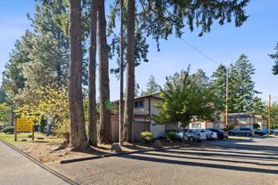 Cascade Firs - Photo 1 of 1