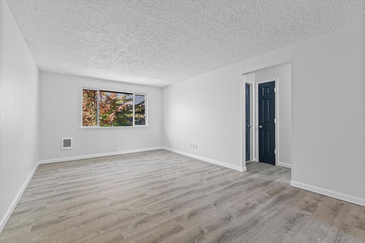 HIDDEN VILLA - Photo 5 of 12