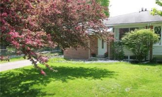 featured image of Yonge St & Murray Dr