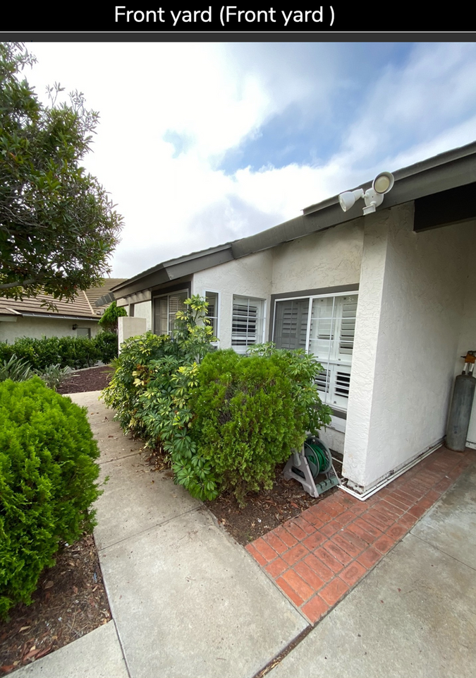 3807 Via Escuda - Photo 2 of 42