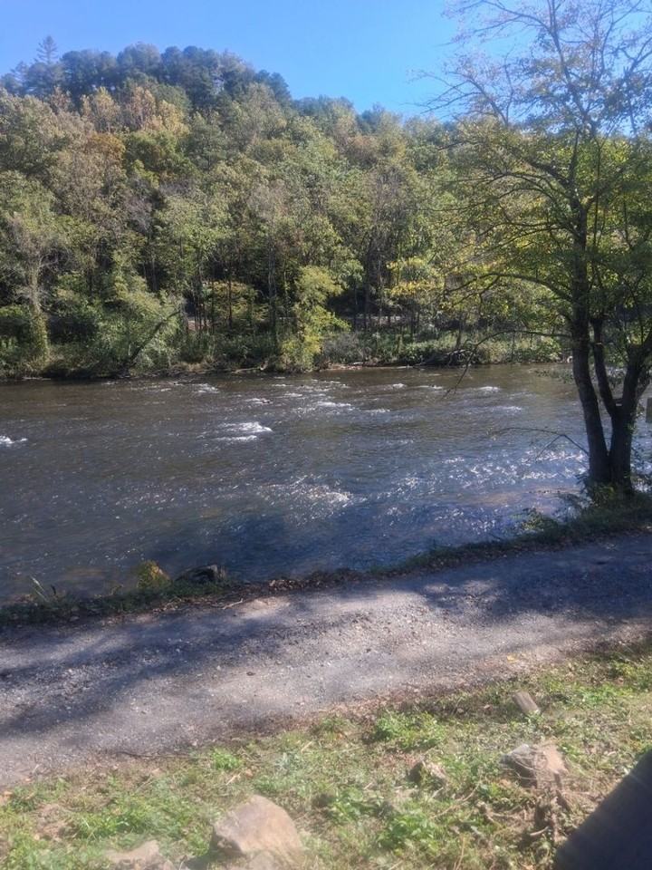 462 Tunnel Mountain Rd - Photo 7 of 27