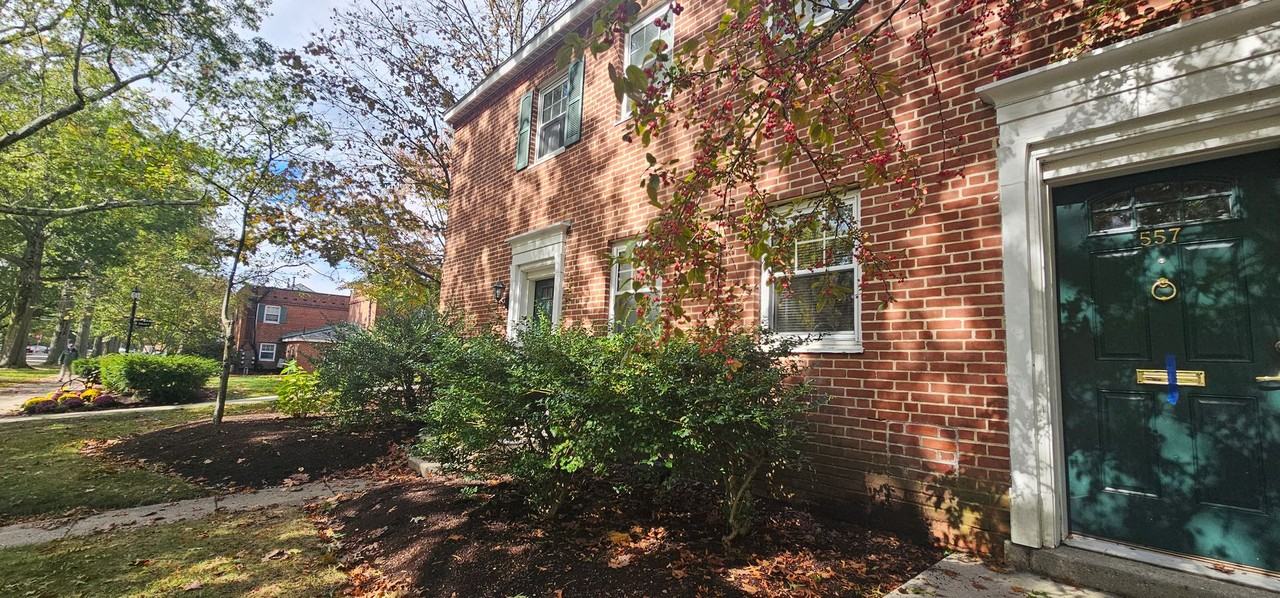 557 Vfw Pkwy - Photo 6 of 22