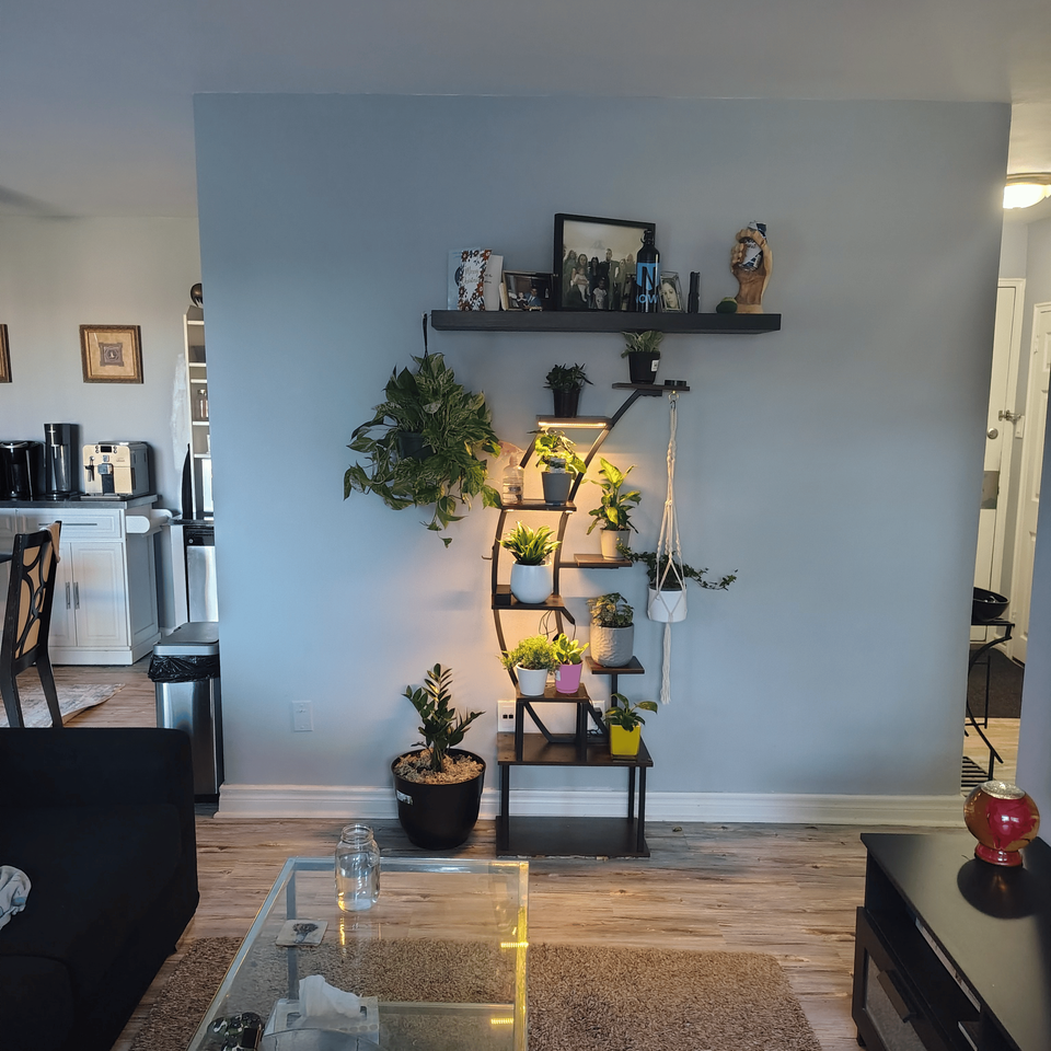 Bramalea Rd & Balmoral Dr - Photo 4 of 8