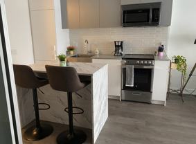 270 Dufferin Street #626 - Photo 1 of 1