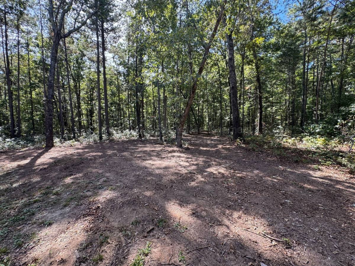 202 Fenner Rd - Photo 3 of 10