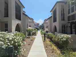 featured image of 28629 Pietro Dr #1