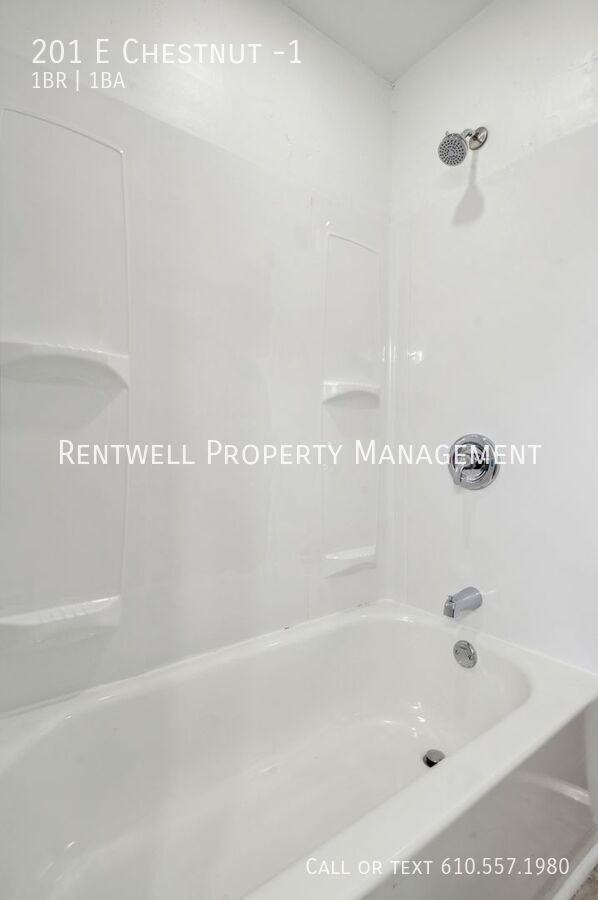 201 201 E Chestnut -1 - Photo 5 of 15