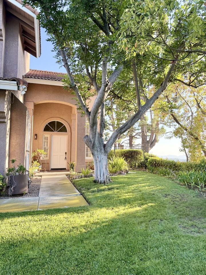 2356 Calle Petula - Photo 2 of 43