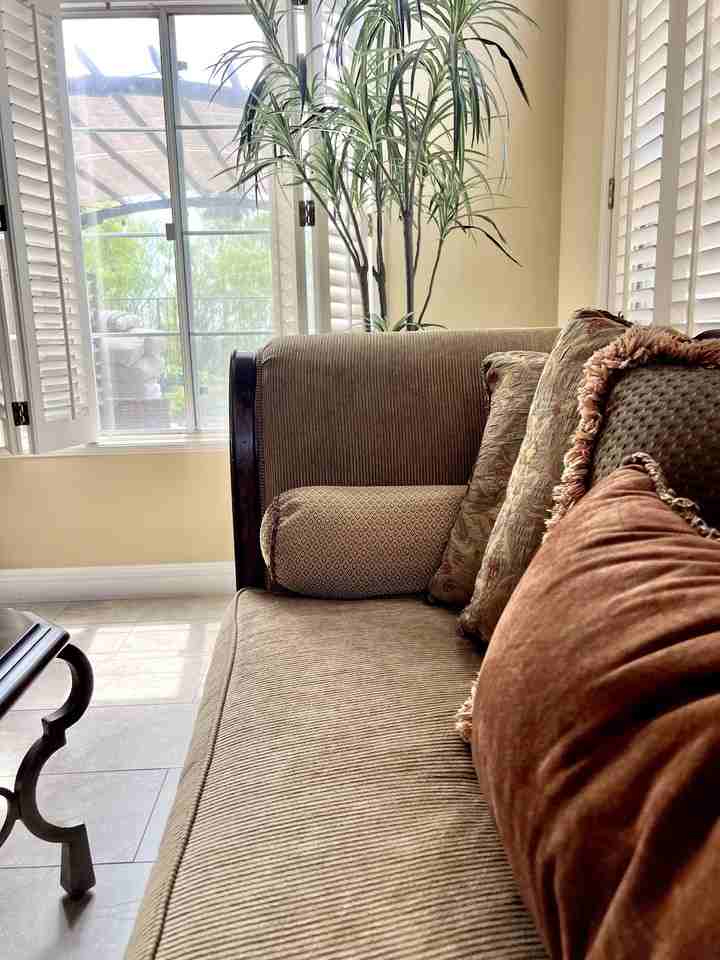 2356 Calle Petula - Photo 3 of 43