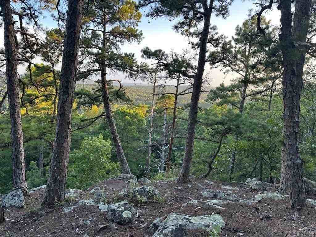 21219 Unicorn Ln - Photo 3 of 6