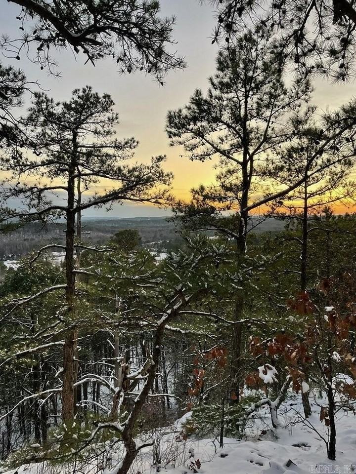 21219 Unicorn Ln - Photo 5 of 6