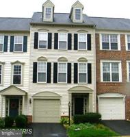 featured image of 43265 Sunderleigh Sq