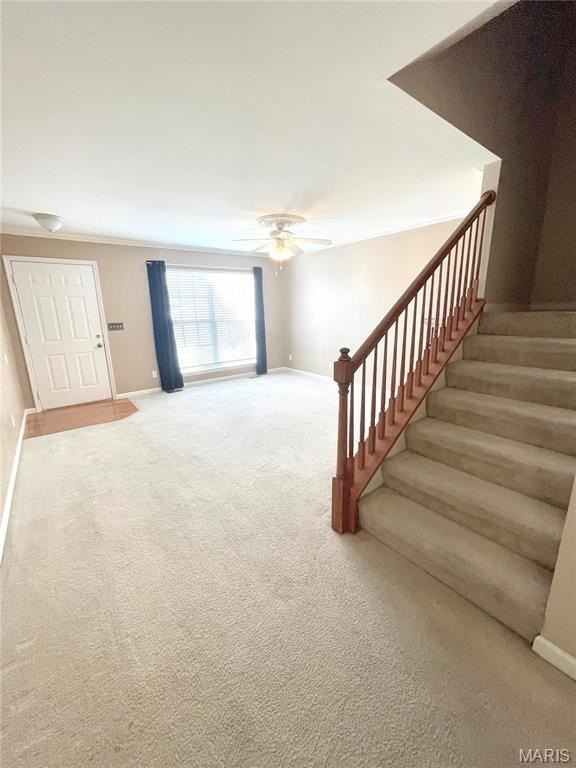 2651 Brookmeadow Dr - Photo 2 of 29