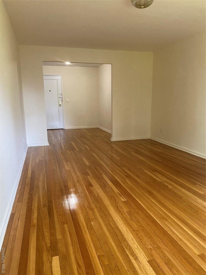 50 S Middle Neck Rd #1B - Photo 4 of 11