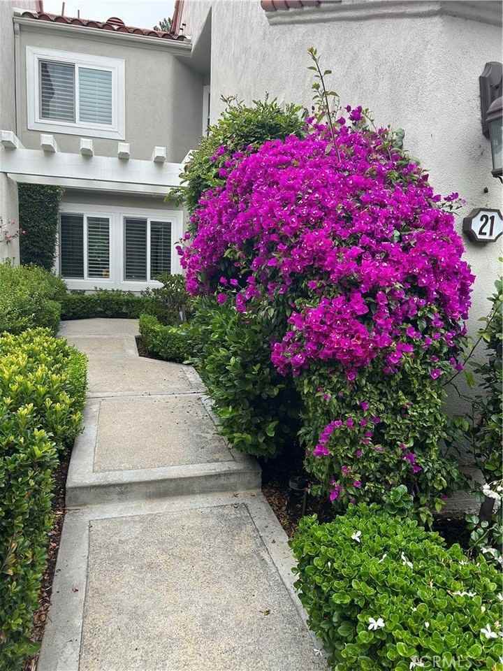 21 Sarena - Photo 5 of 23