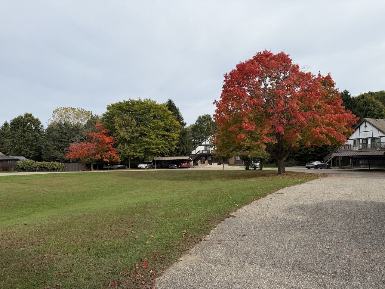 6165 Briarcliff Ln - Photo 2 of 3