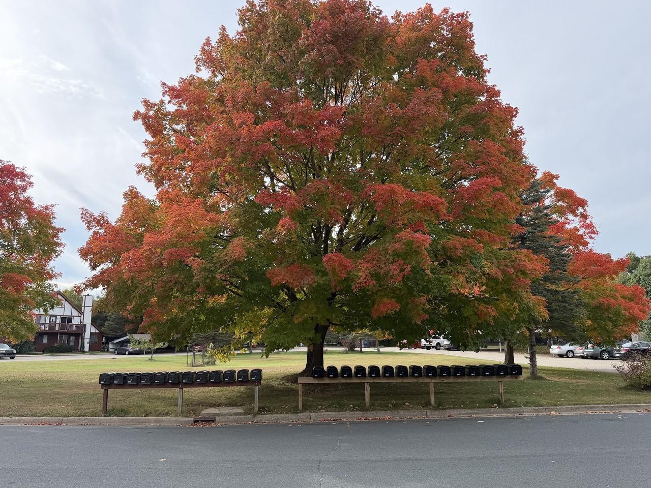 6165 Briarcliff Ln - Photo 3 of 3
