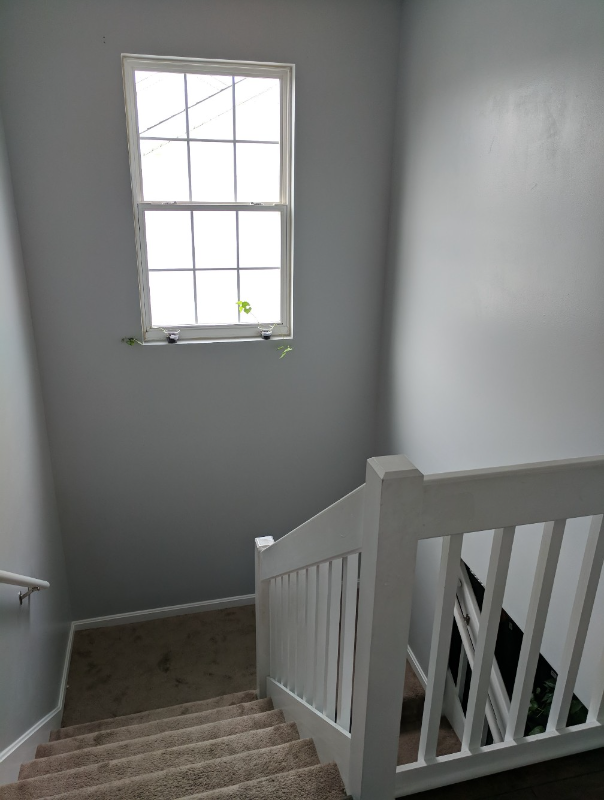 8407 Arbor Meadow Way - Photo 3 of 5