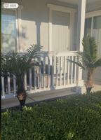 featured image of 8418 Lourenco Ln #D