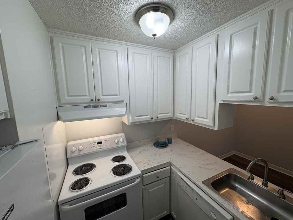 1005 Hickory Hill Ln #A204 - Photo 4 of 13