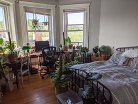 1082 Commonwealth Ave #504 - Photo 1 of 1