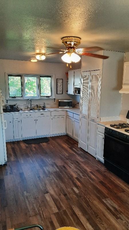 709 Indiana St - Photo 2 of 11