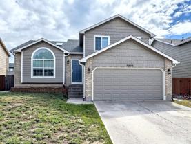 7925 Chancellor Dr - Photo 1 of 1