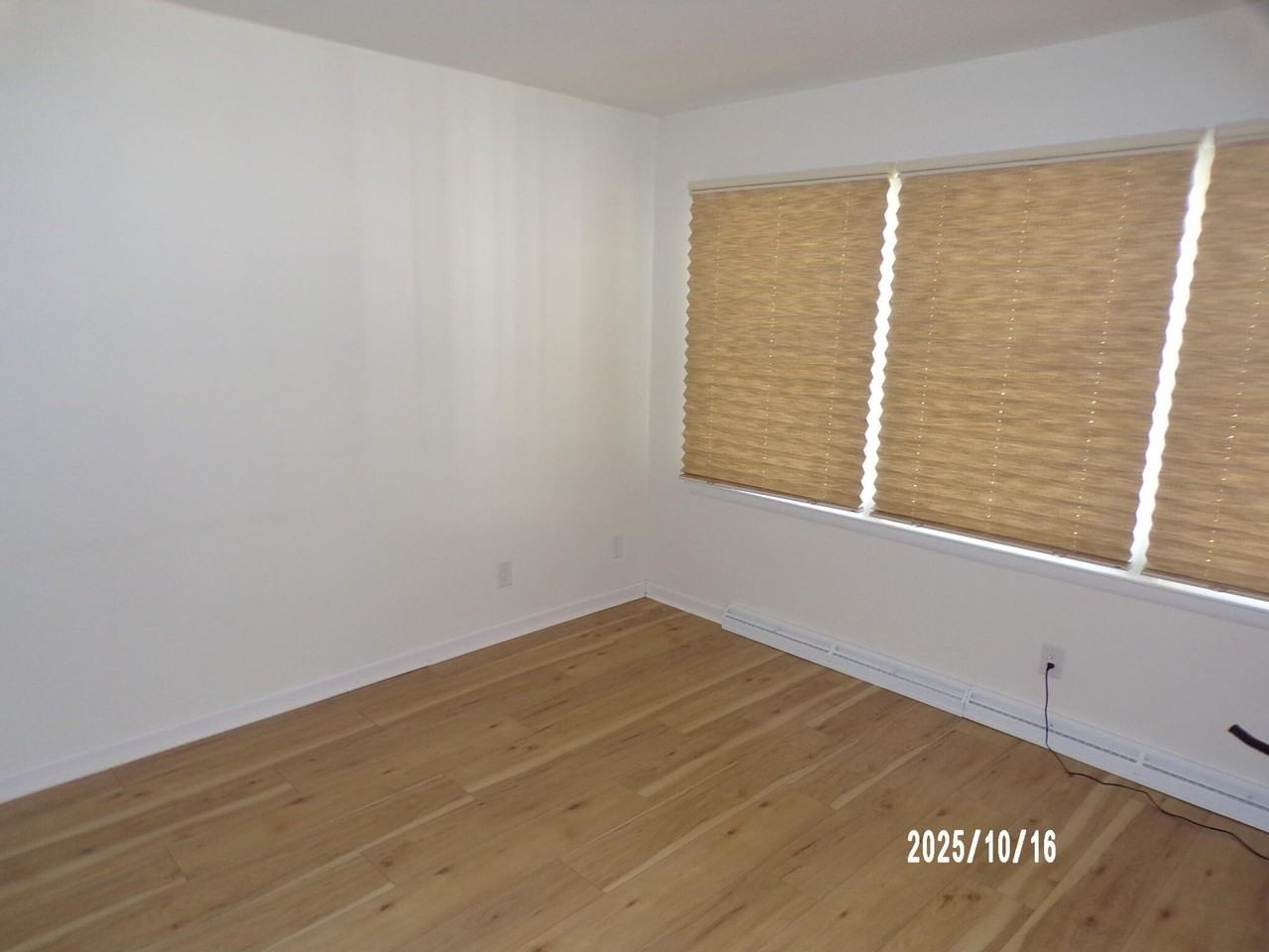 210 N Division St - Photo 5 of 13