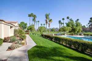 featured image of 76268 Impatiens Cir