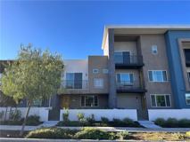 115 Culture - Photo 1 of 1