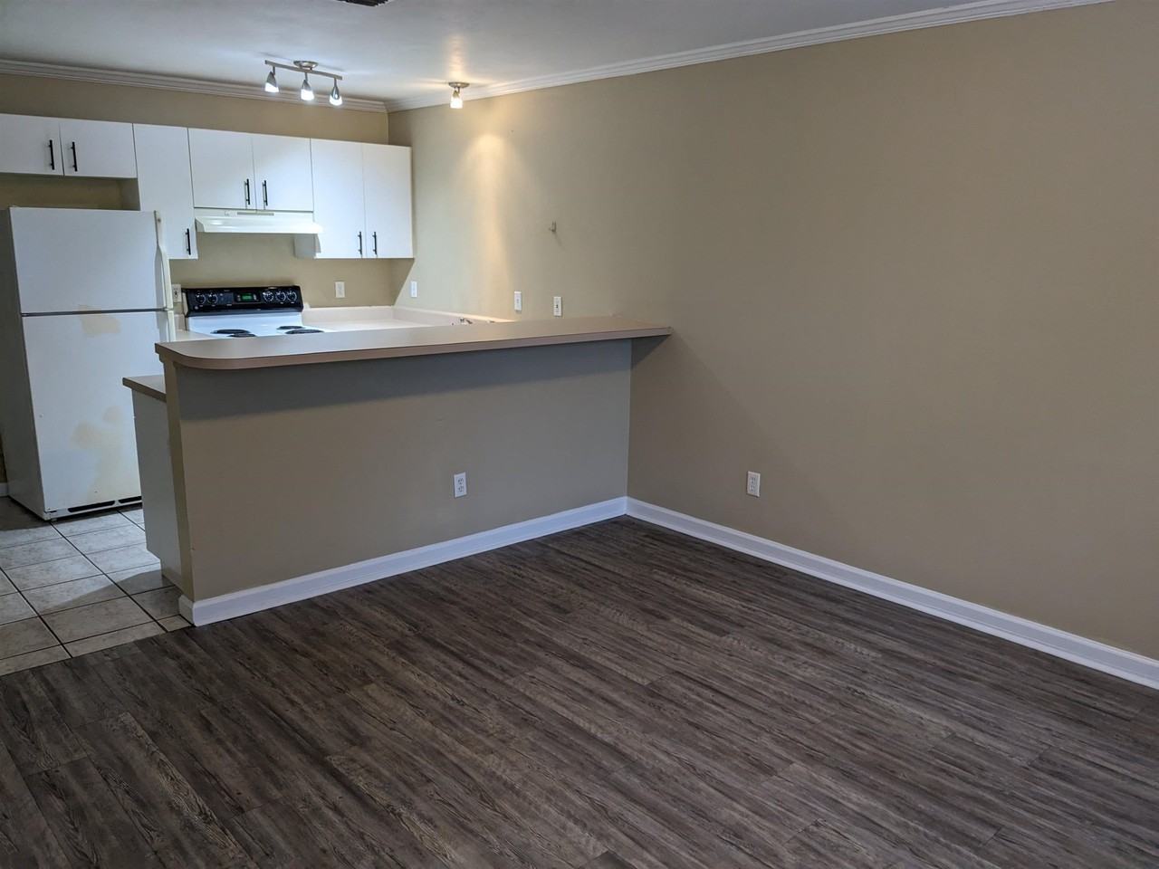 729 Wailes St - Photo 3 of 14