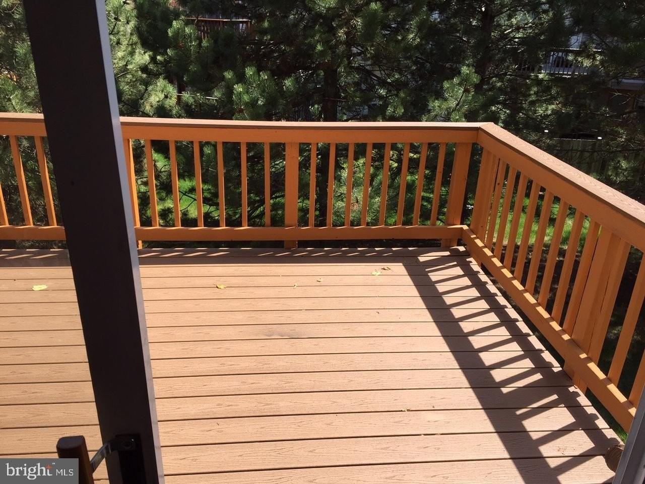 2503 Clover Field Cir - Photo 6 of 12