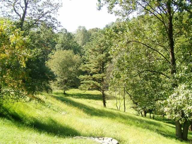 391 E Rose Tree Rd #NA - Photo 3 of 22